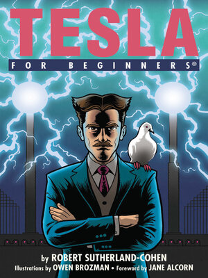 cover image of Tesla For Beginners